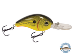 Dive Master Jr 8