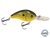 Dive Master Jr 8