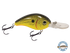 Dive Master Jr 8