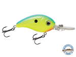 Dive Master Jr 8