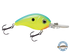 Dive Master Jr 8