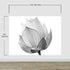 Black and White Lotus Flower Wall Mural #6116