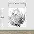 Black and White Lotus Flower Wall Mural #6116