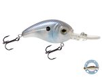 Dive Master Jr 8