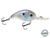 Dive Master Jr 8