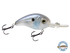 Dive Master Jr 8