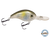 Dive Master Jr 8