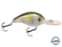 Dive Master Jr 8