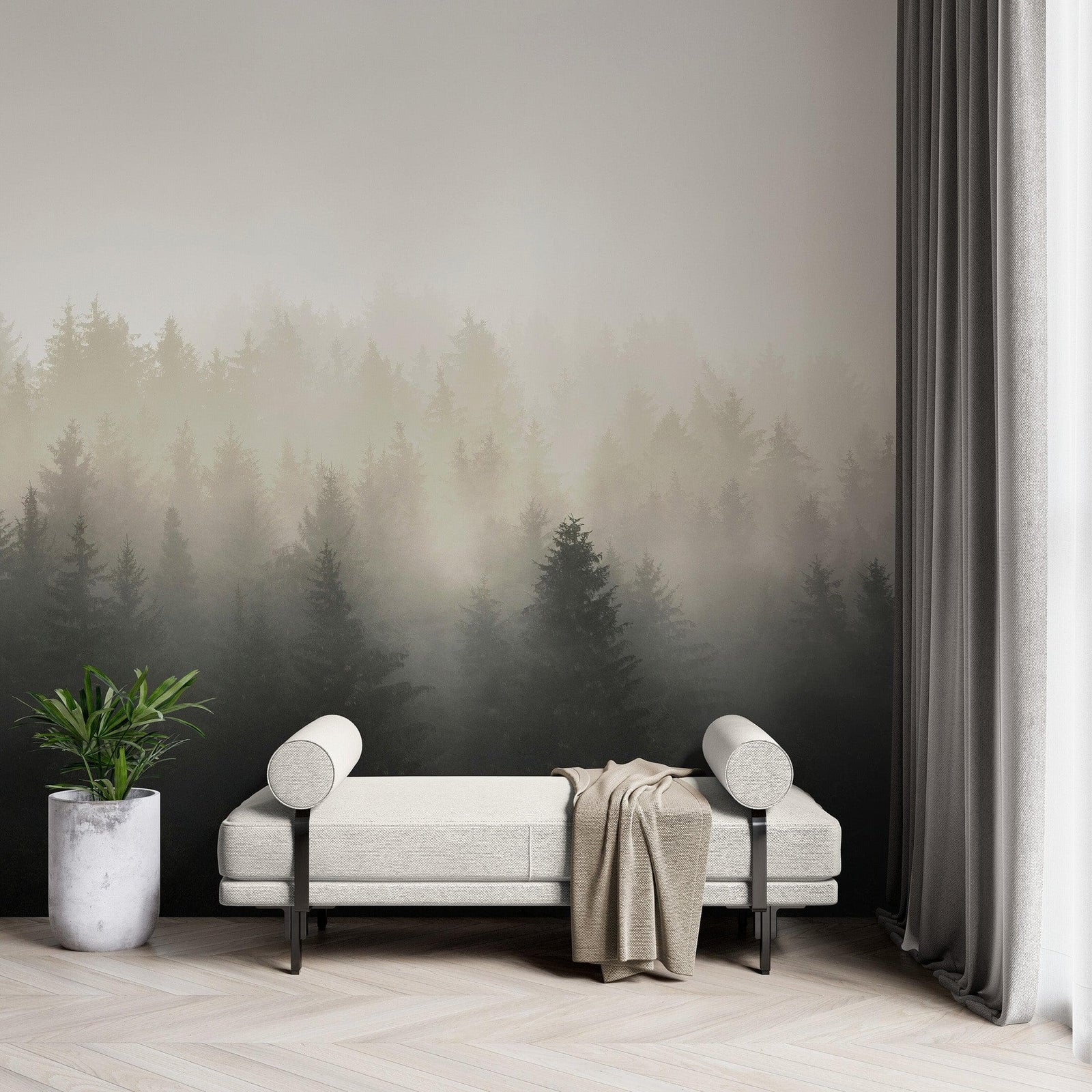 Misty Pine Forest Wall Mural. Peaceful Foggy Morning Scenery. #6122