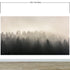 Misty Pine Forest Wall Mural. Peaceful Foggy Morning Scenery. #6122
