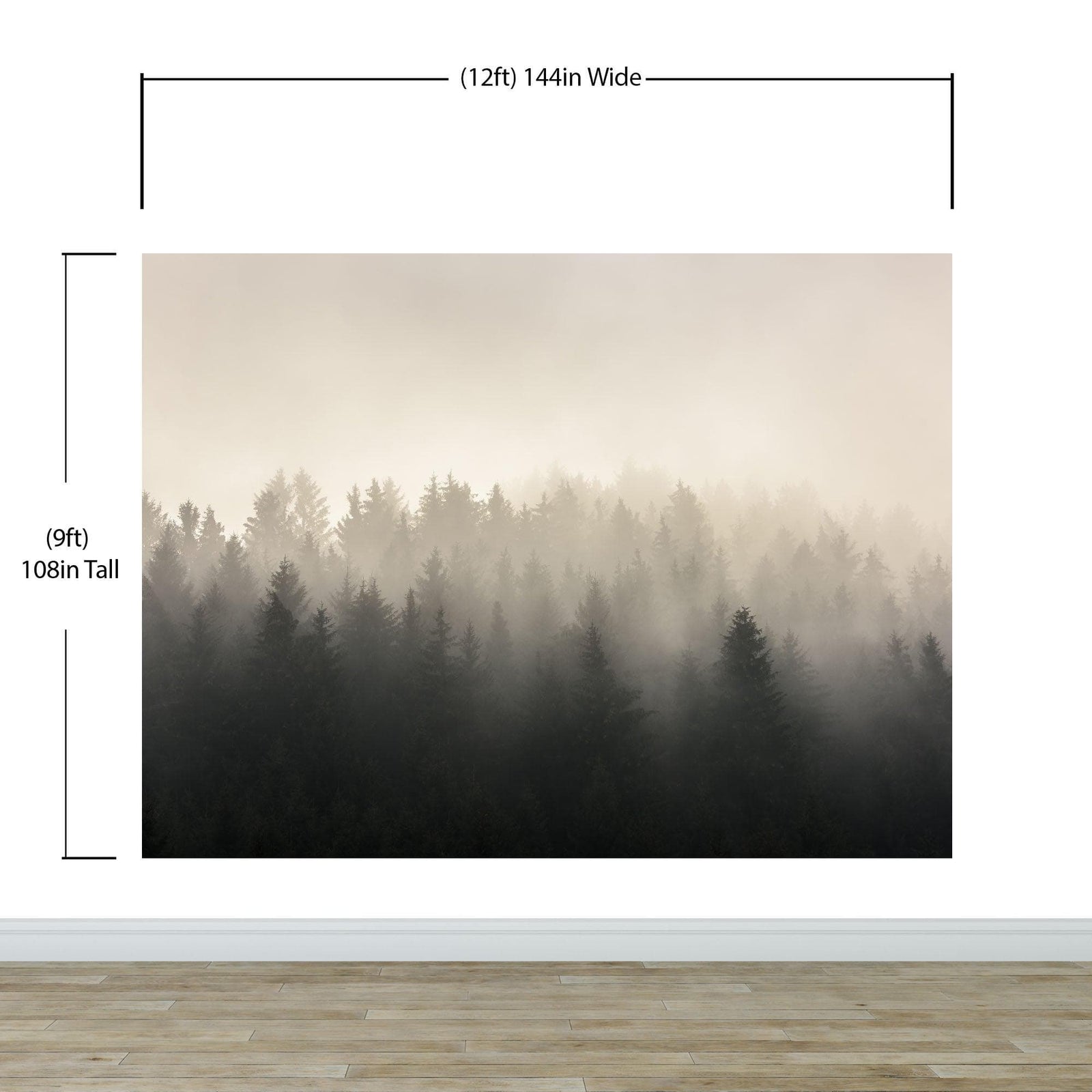 Misty Pine Forest Wall Mural. Peaceful Foggy Morning Scenery. #6122