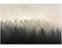 Misty Pine Forest Wall Mural. Peaceful Foggy Morning Scenery. #6122