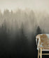 Misty Pine Forest Wall Mural. Peaceful Foggy Morning Scenery. #6122
