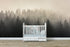 Misty Pine Forest Wall Mural. Peaceful Foggy Morning Scenery. #6122