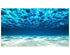 Underwater Wallpaper. View of Tropical Beach Wall Mural #6124