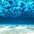 Underwater Wallpaper. View of Tropical Beach Wall Mural #6124