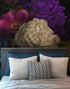 Melancholy Flower Wall Mural. Black background. #6130