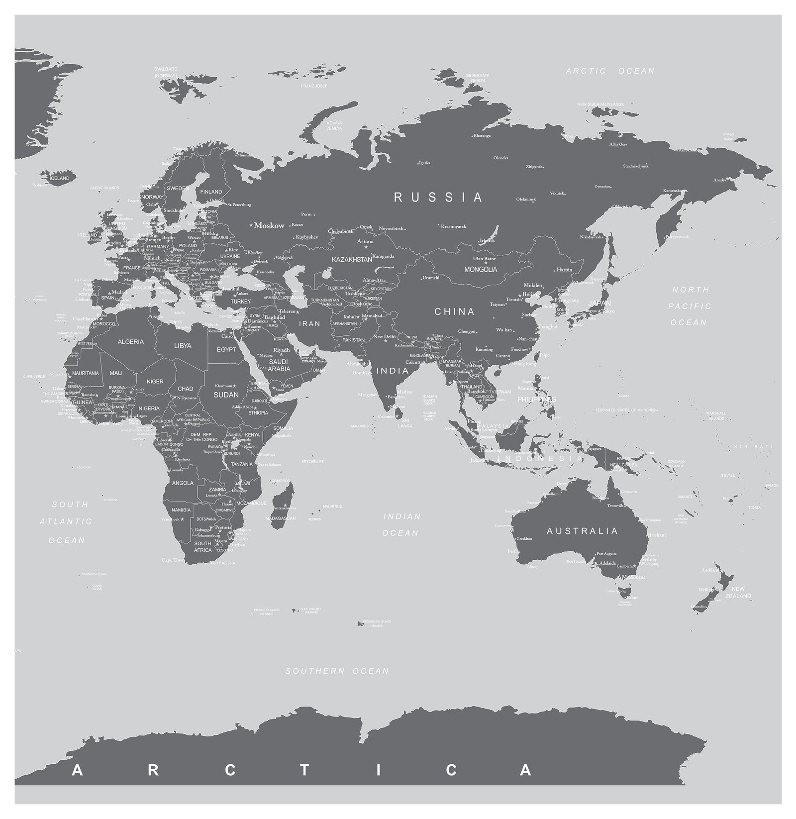 World Map Wall Mural (Grey). #6133