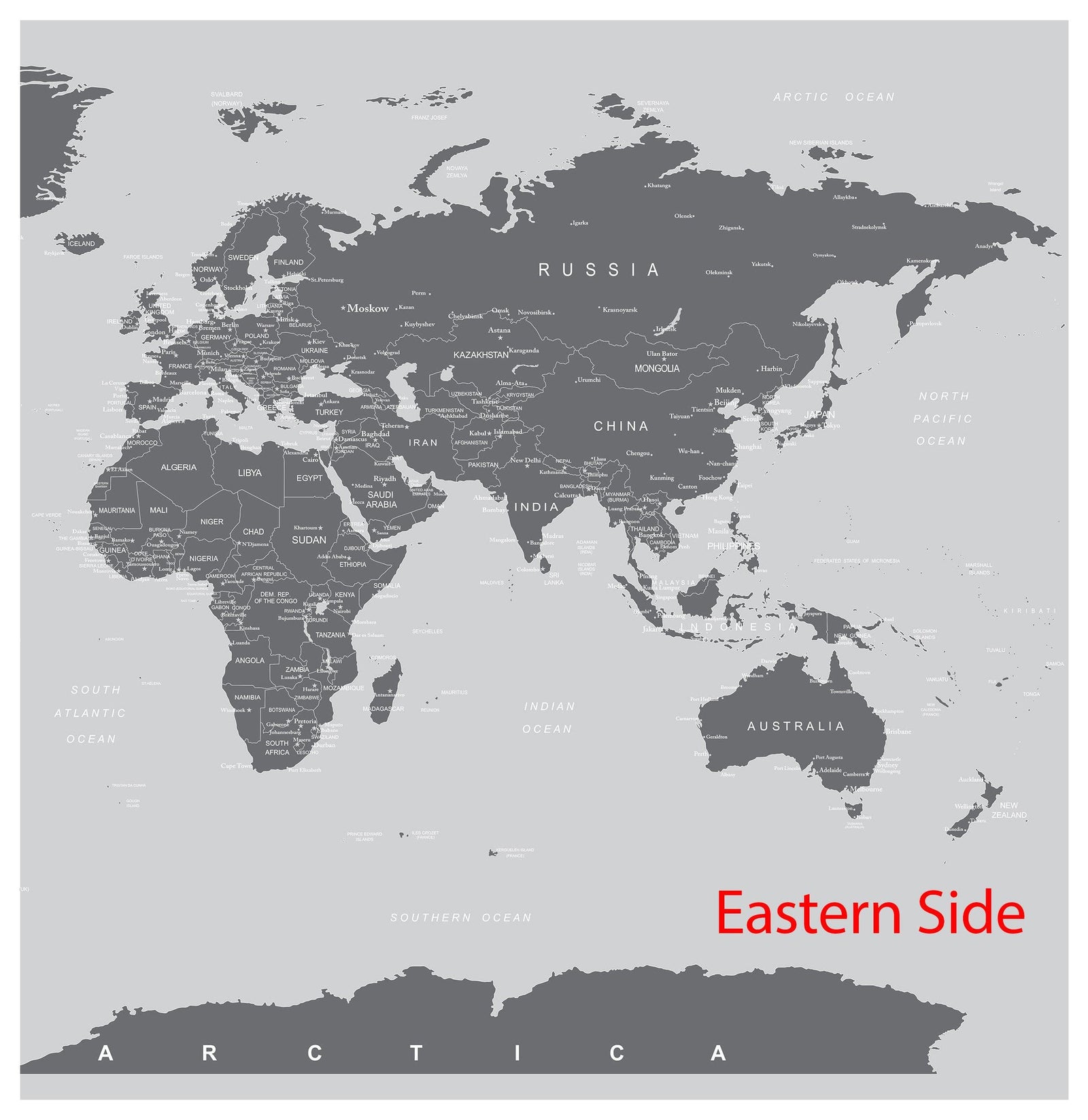 World Map Wall Mural (Grey). #6133