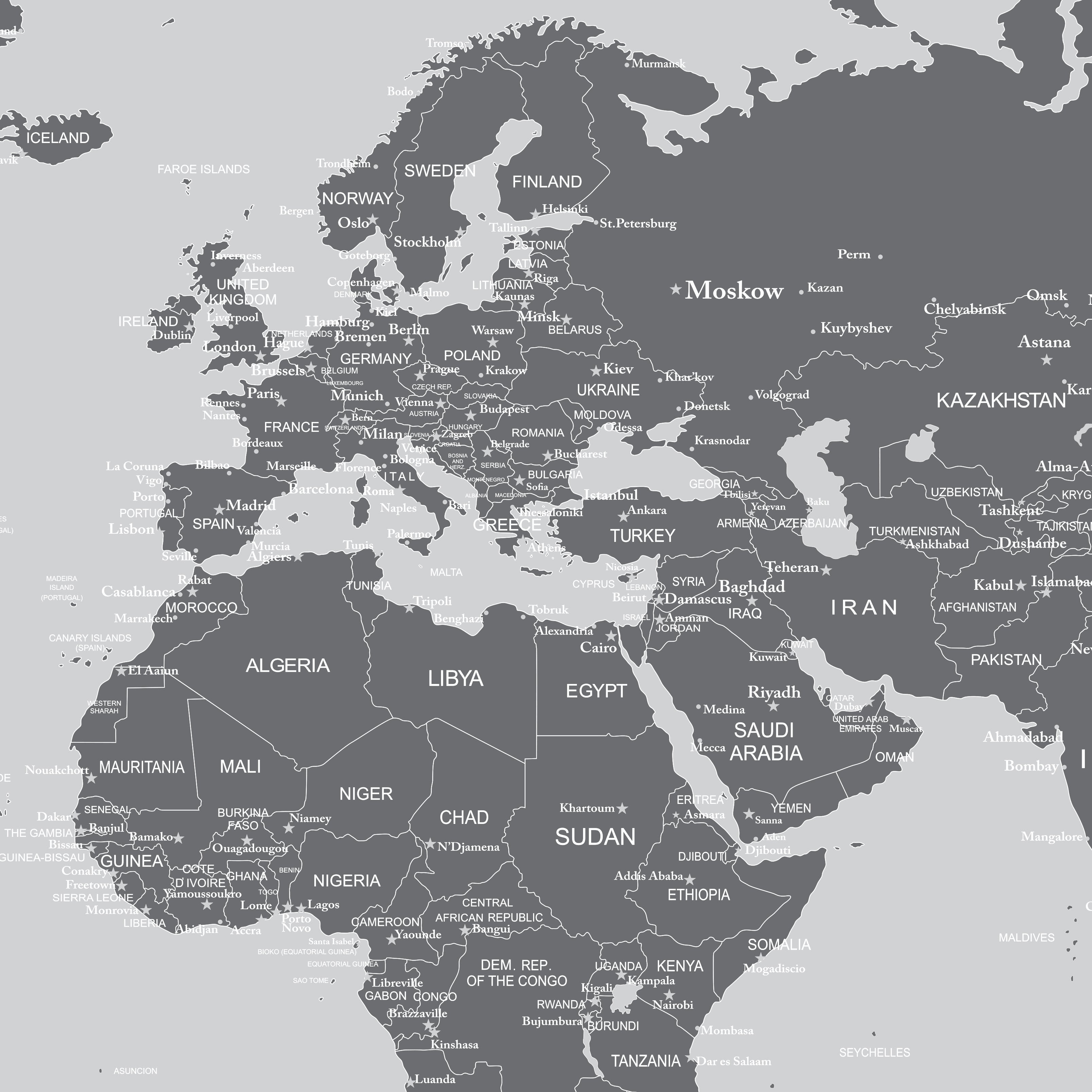 World Map Wall Mural (Grey). #6133