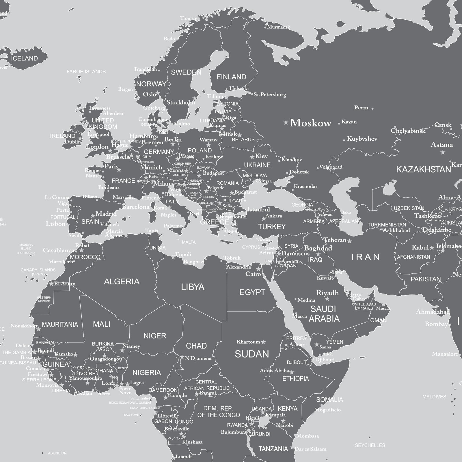 World Map Wall Mural (Grey). #6133