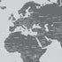 World Map Wall Mural (Grey). #6133