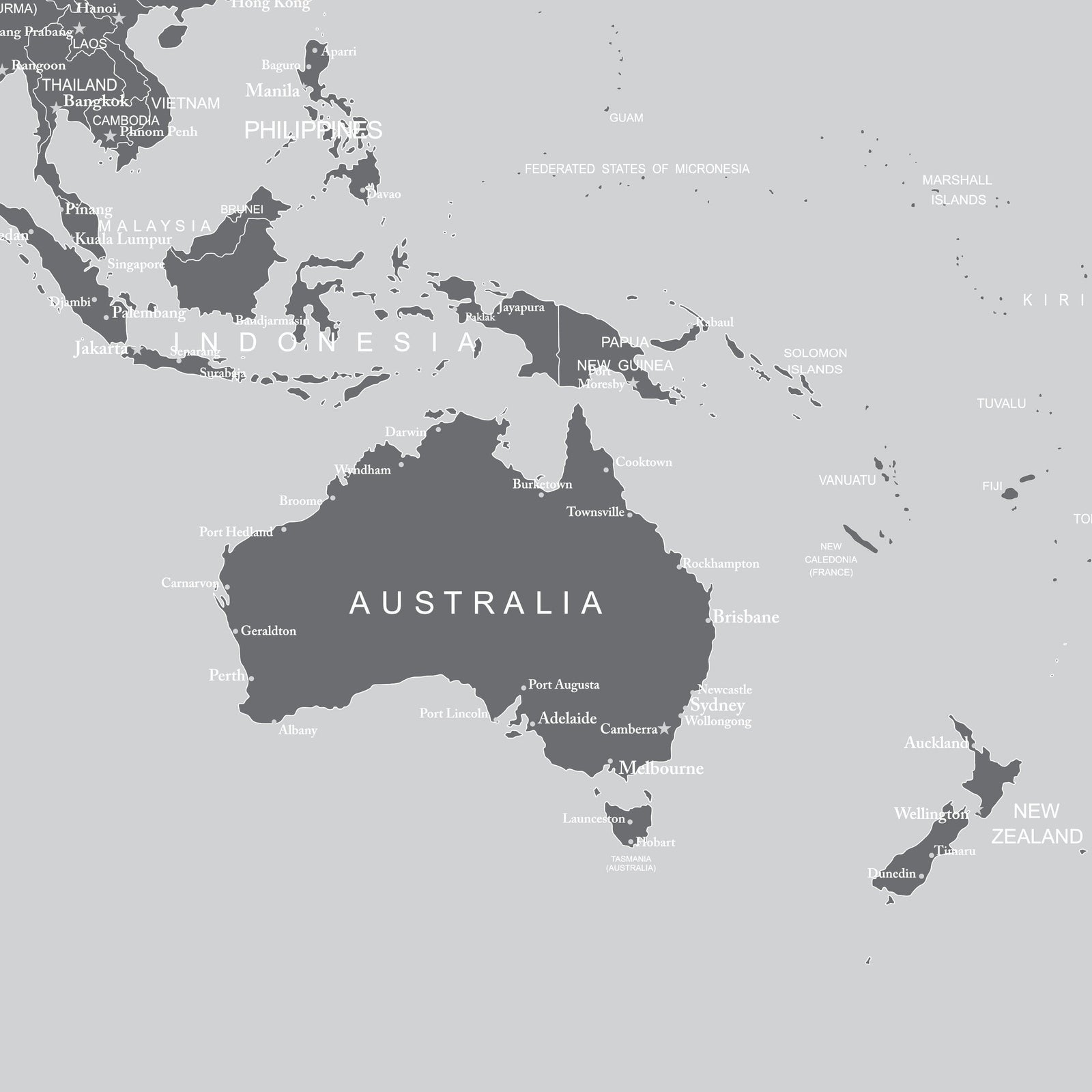 World Map Wall Mural (Grey). #6133