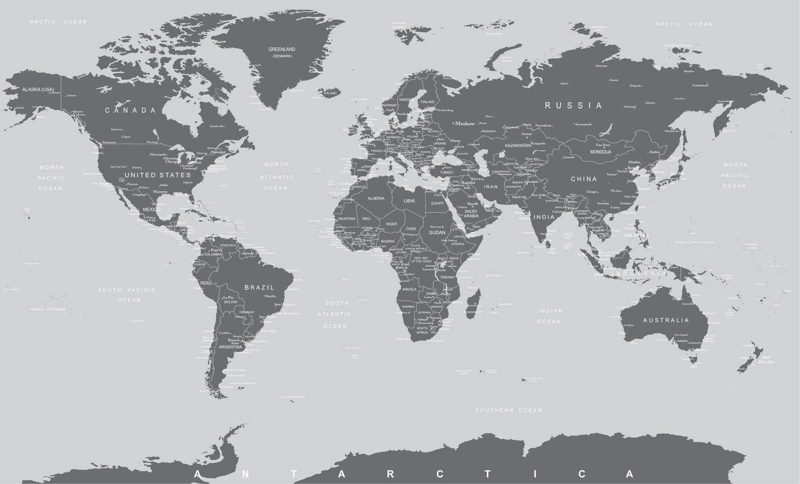 World Map Wall Mural (Grey). #6133