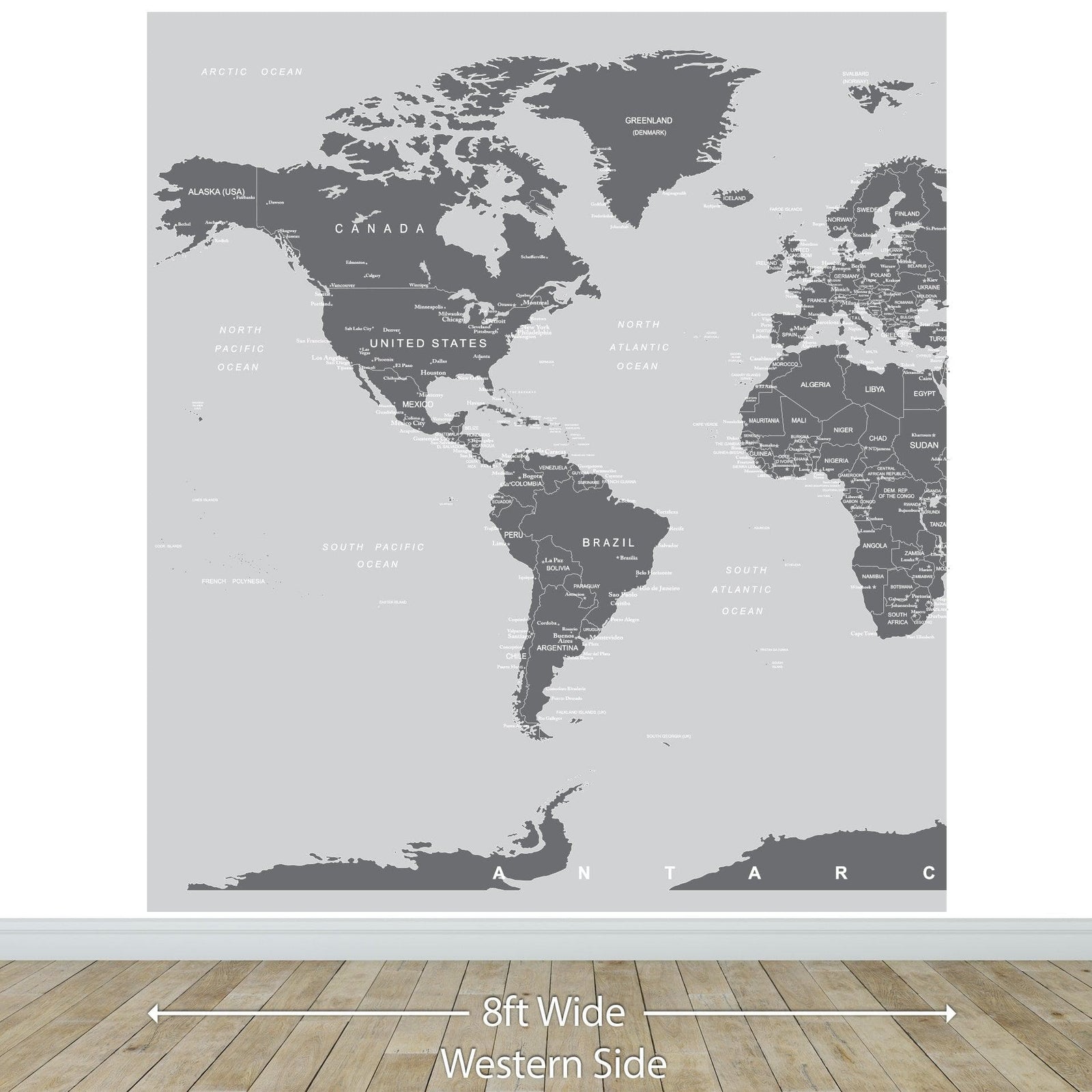 World Map Wall Mural (Grey). #6133