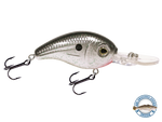 Dive Master Jr 8