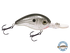 Dive Master Jr 8