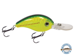 Dive Master Jr 8