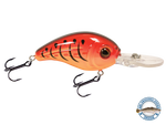 Dive Master Jr 8