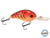 Dive Master Jr 8