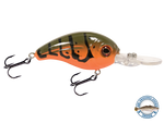 Dive Master Jr 8