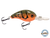 Dive Master Jr 8