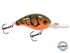 Dive Master Jr 8