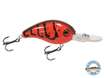 Dive Master Jr 8
