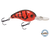 Dive Master Jr 8