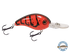 Dive Master Jr 8