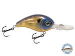 Dive Master Jr 8