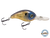 Dive Master Jr 8