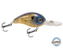 Dive Master Jr 8