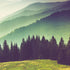 Colorful Foggy Mountain Forest View Wall Mural | Peel and Stick Wallpaper. #6159