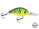 Dive Master Jr 8
