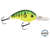 Dive Master Jr 8
