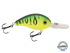 Dive Master Jr 8