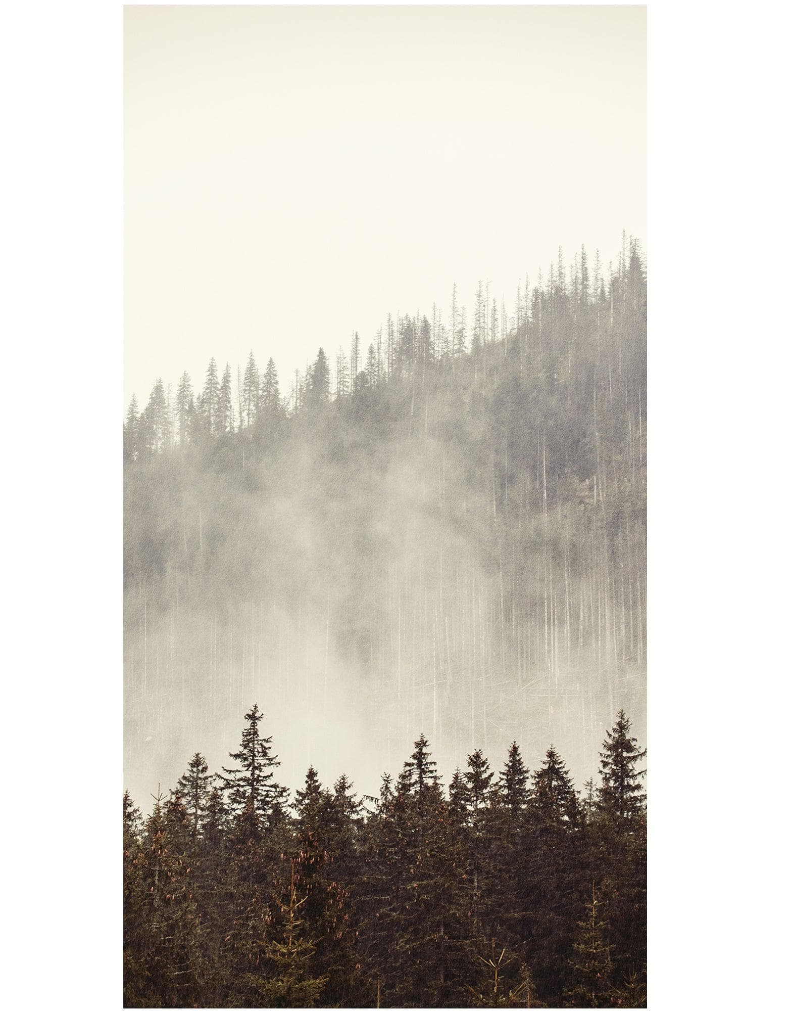 Foggy Misty Forest Tree Over Mountain Wall Mural. #6171