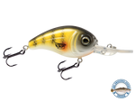 Dive Master Jr 8
