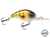 Dive Master Jr 8